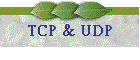 TCP & UDP