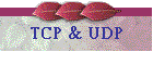 TCP & UDP